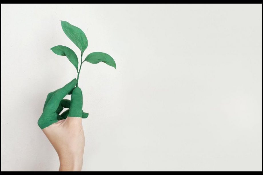 Beneficios de optar por la energía verde en tu reforma